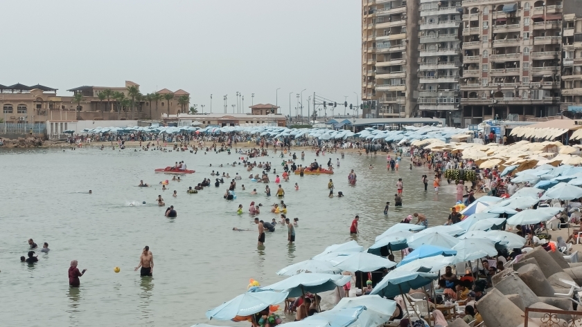 شواطئ آمنة في الإسكندرية
