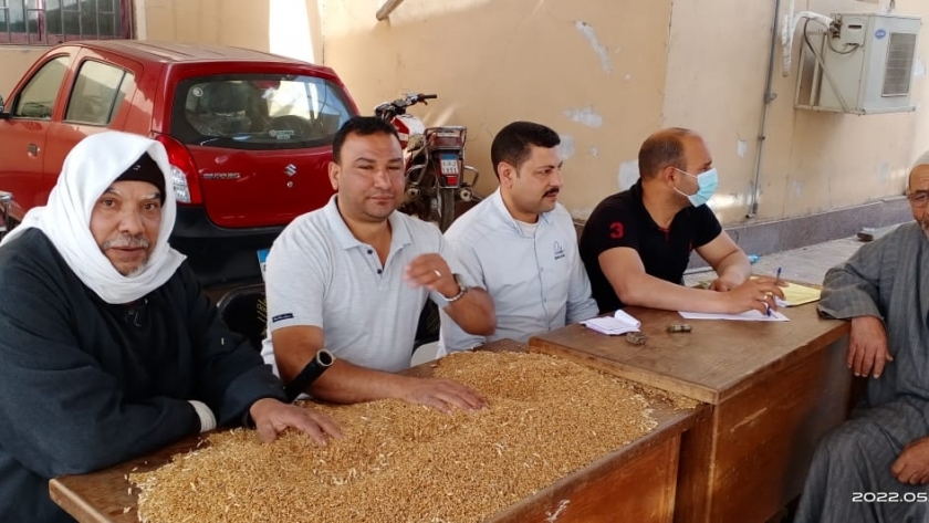 استقبال القمح من مزراعي كفر الشيخ