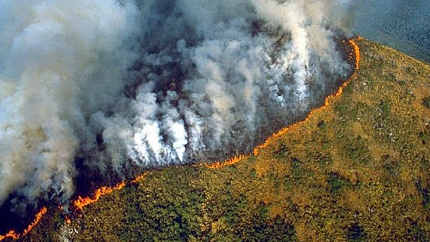 الحرائق في غابات الأمازون