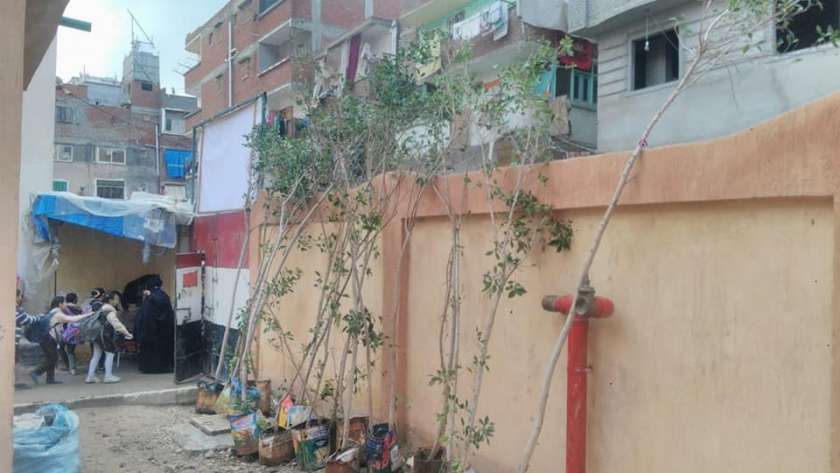 زراعة ٢٠ شجرة موالح مثمرة بمدرسة "عزبة الصيادين" وسط الإسكندرية