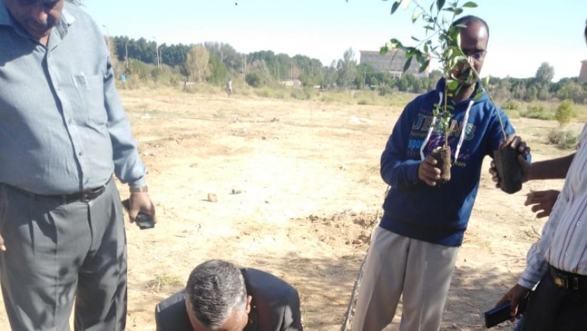 جامعة جنوب الوادي تواصل فعاليات مبادرة "هنجملها " بزراعة 1500 شجرة