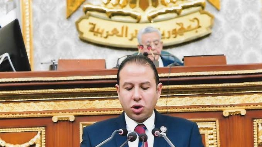 النائب حسن عمار ، عضو لجنة الشئون الاقتصادية بمجلس النواب