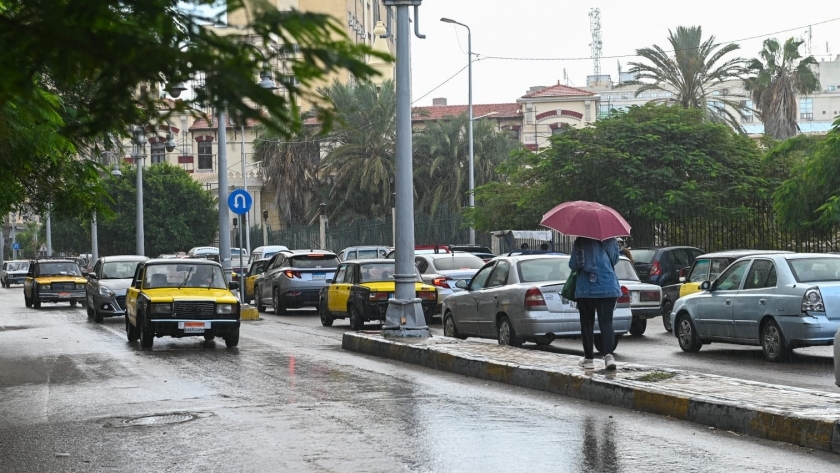 أمطار الإسكندرية