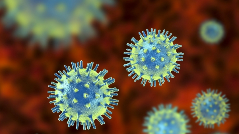 فيروس هيهي ـ صورة تعبيرية