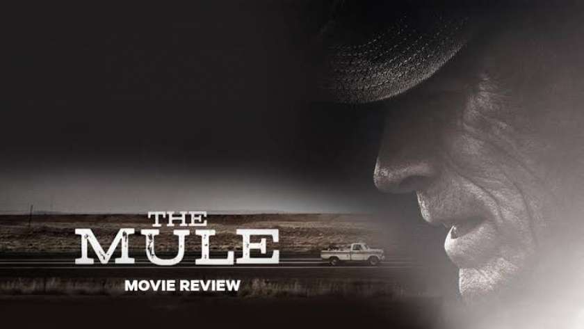 فيلم the mule