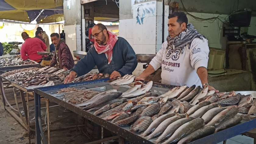سوق السمك في الإسماعيلية