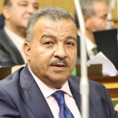 الدكتور محمد العمارى رئيس لجنة الصحة بمجلس النواب