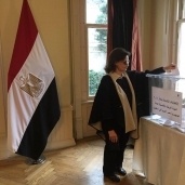المصريون بالخارج يدلون بأصواتهم في الانتخابات الرئاسية