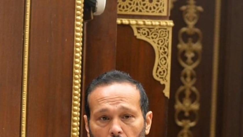 محمد حلاوة رئيس لجنة الصناعة بمجلس الشيوخ