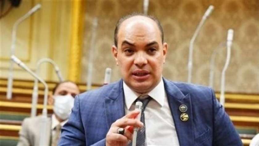 النائب علاء حمدي قريطم - عضو لجنة الصناعة بمجلس النواب