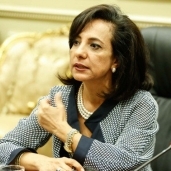 النائبة داليا يوسف عضو لجنة العلاقات الخارجية بمجلس النواب