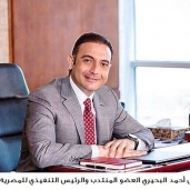 مهندس أحمد البحيري