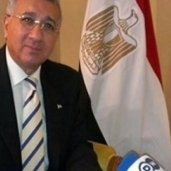 السفير الدكتور محمد حجازي