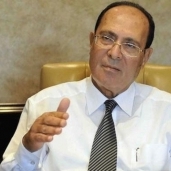 الدكتور محمود أبوزيد - رئيس المجلس العربي للمياه