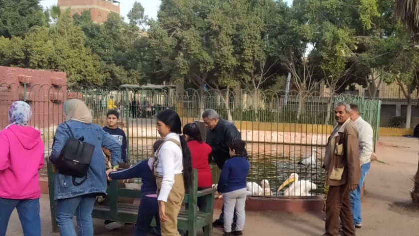 أطفال يطعمون البجع في حديقة الحيوان