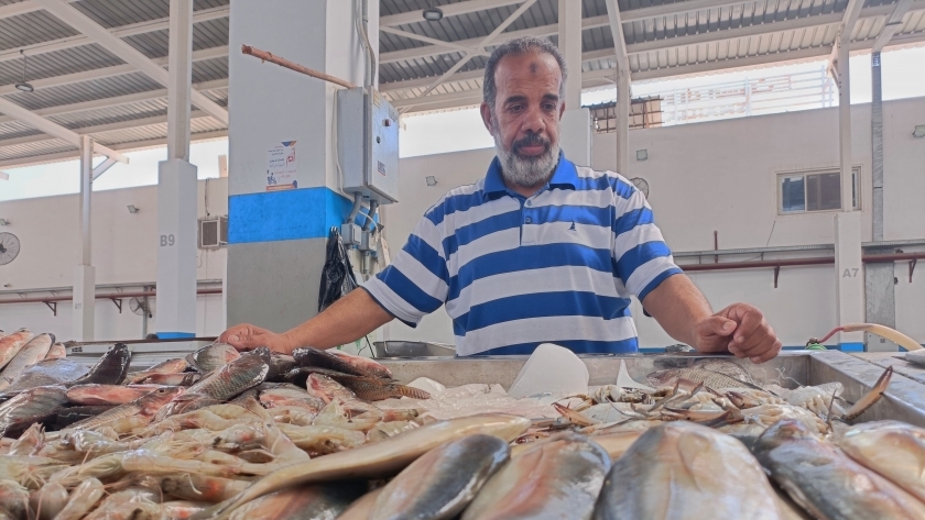 سوق السمك في الإسماعيلية (أرشيفية)