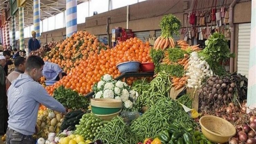 أسعار الخضروات بشمال سيناء