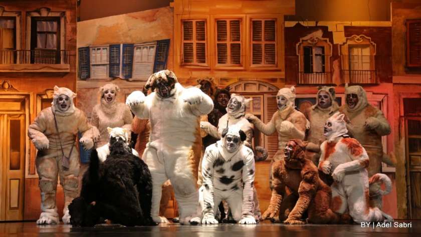 عرض dogs على مسرح الجمهورية