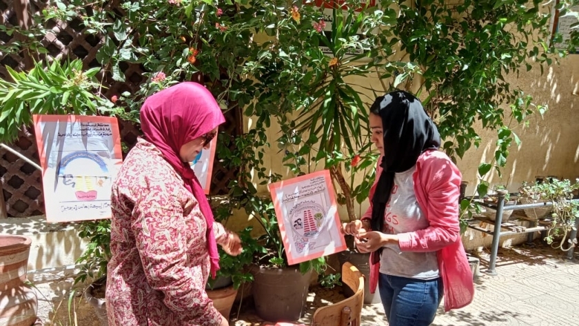 مبادرة البيئة في الإسكندرية