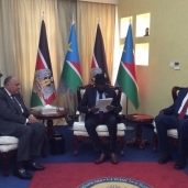 شكري يسلم رئيس جنوب السودان رسالة من الرئيس