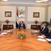 الرئيس عبد الفتاح السيسي يلتقى رئيس الوزراء ووزير المالية