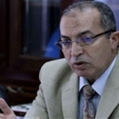 د.مجدي عبدالعزيز رئيس مصلحة الجمارك