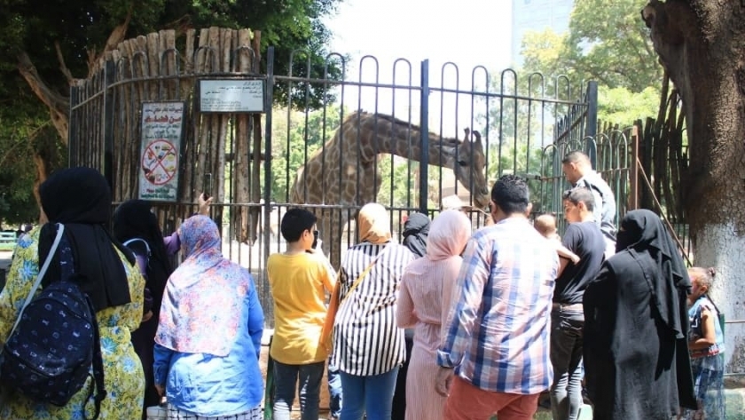 حديقة حيوان الجيزة تستقبل 1330 زائرا بعد ساعات من فتحها