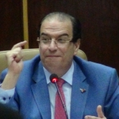 الدكتور أحمد الشعراوي - محافظ الدقهلية