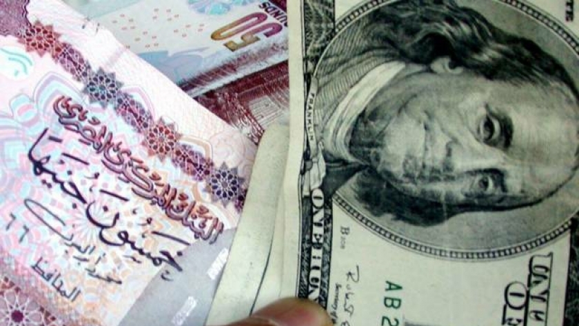 "فهمي": مؤشر جديد للجنيه المصري خطوة ممتازة لدعم العملة المحلية