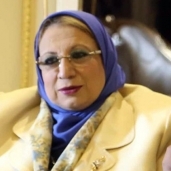 النائبة إيناس عبد الحليم، عضو مجلس النواب