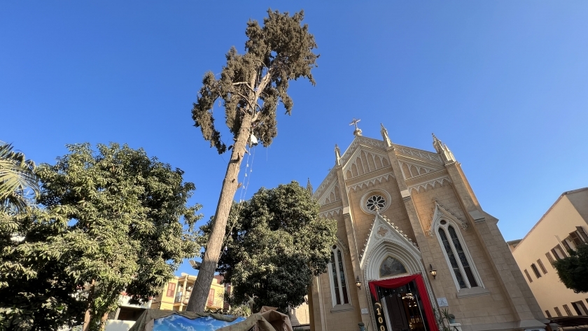 أقدم شجرة كريسماس بكنيسة سانت تريزا بأسيوط