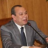 إسماعيل عبد الحميد طه محافظ دمياط