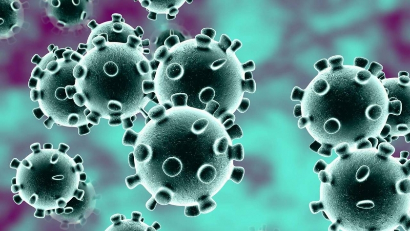 فيروس كورونا المستجد - صورة تعبيرية