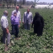 وكيل زراعة دمياط يتفقد زراعات البطاطس والخيار ويأمر بحل مشاكل المزارعين