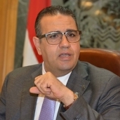 الدكتور محمد حسن قناوى