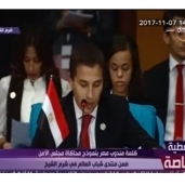 مندوب مصر في نموذج محاكاة مجلس الأمن