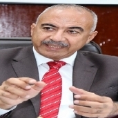د محمد الخياط - رئيس هيئة الطاقة الجديدة والمتجددة