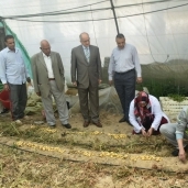 نائب رئيس جامعة مدينة السادات:نجاح إنتاج تقاوى البطاطس بإستخدام تقنيات زراعة الأنسجة النباتية