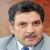 الدكتور حسام المغازي وزير الري السابق