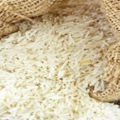 صورة أرشيفية-الأرز