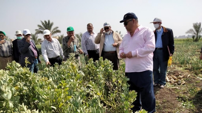 السعودية تطلب من مصر شهادة خلو الصادارات الزراعية من المبيدات