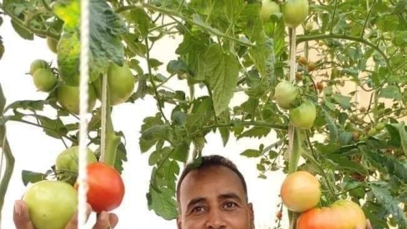 «المدني» أسس مشروعه الخاص بالزراعة بدون تربة