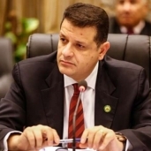 النائب طارق رضوان رئيس لجنة الشؤون الأفريقية بمجلس النواب