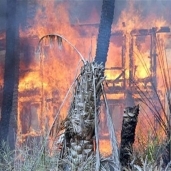 صورة أرشيفية-حريق بمزرعة
