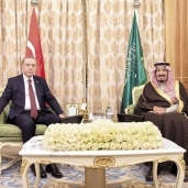 جانب من لقاء الملك «سلمان» و«أردوغان» «أ. ف. ب»