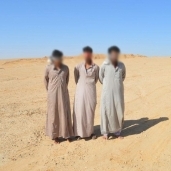 عاجل| ضبط 3 مشتبه بهم وتدمير 9 أوكار إرهابية في وسط سيناء