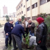 زراعة 60 شجرة مثمرة بـ5 مدارس وسط الإسكندرية