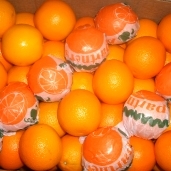 البرتقال المصري احتل المرتبة الأولى عالميا العام الماضي