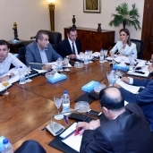 اجتماع تنفيذية تحيا مصر