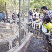 حديقة الحيوان تستعد لاستقبال المواطنين فى العيد «صورة أرشيفية»